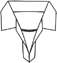 Men Plain White Polo Shirts